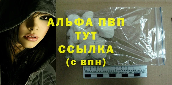 молекула духа Новокубанск