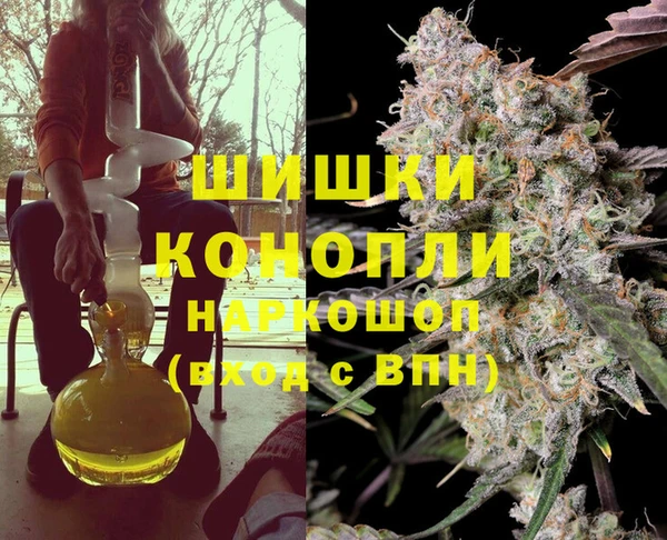 молекула духа Новокубанск