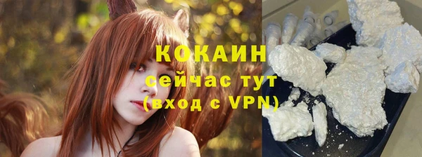 молекула духа Новокубанск